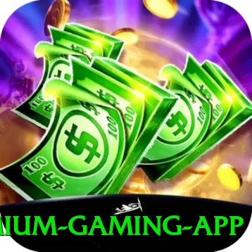 2090win Premium Gaming App - pro